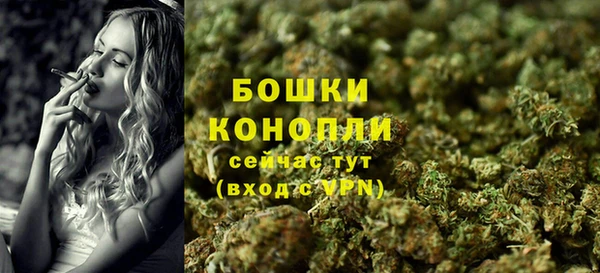 прущие грибы Нязепетровск