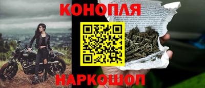 крисы Ливны