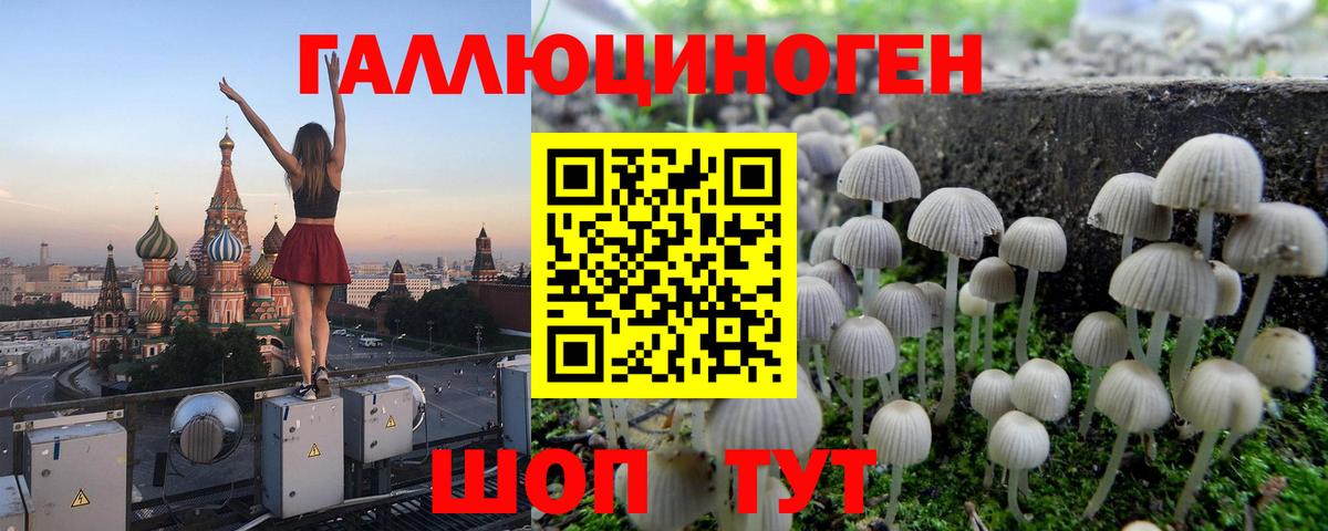 Галлюциногенные грибы Magic Shrooms Сызрань