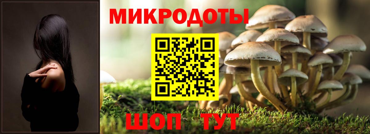 Сызрань  хочу наркоту  Вход с VPN  Псилоцибиновые грибы прущие грибы  Псилоцибиновые грибы прущие грибы 